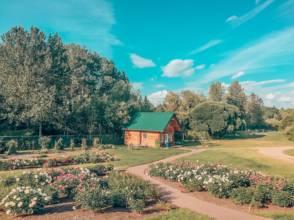 A small wooden building surrounded by gardens and trees with blue sky above.