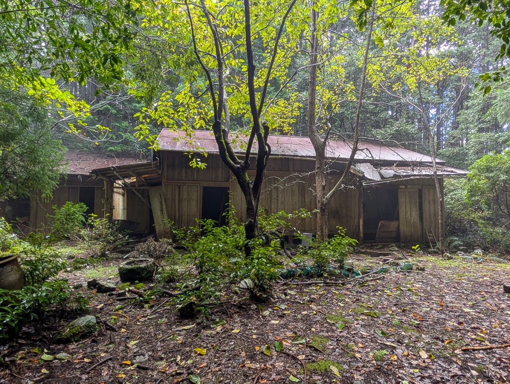 A ruined Japanese tea house