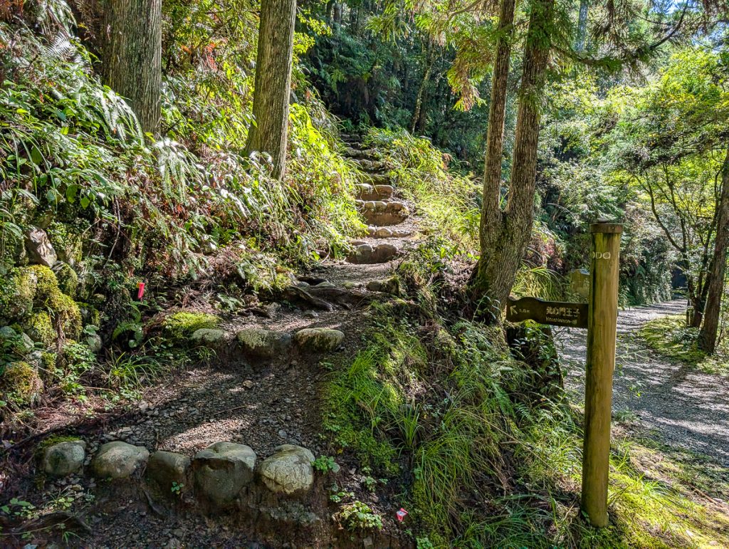 stone steps leading into the forest on the Nakahechi trail Kumano Kodo