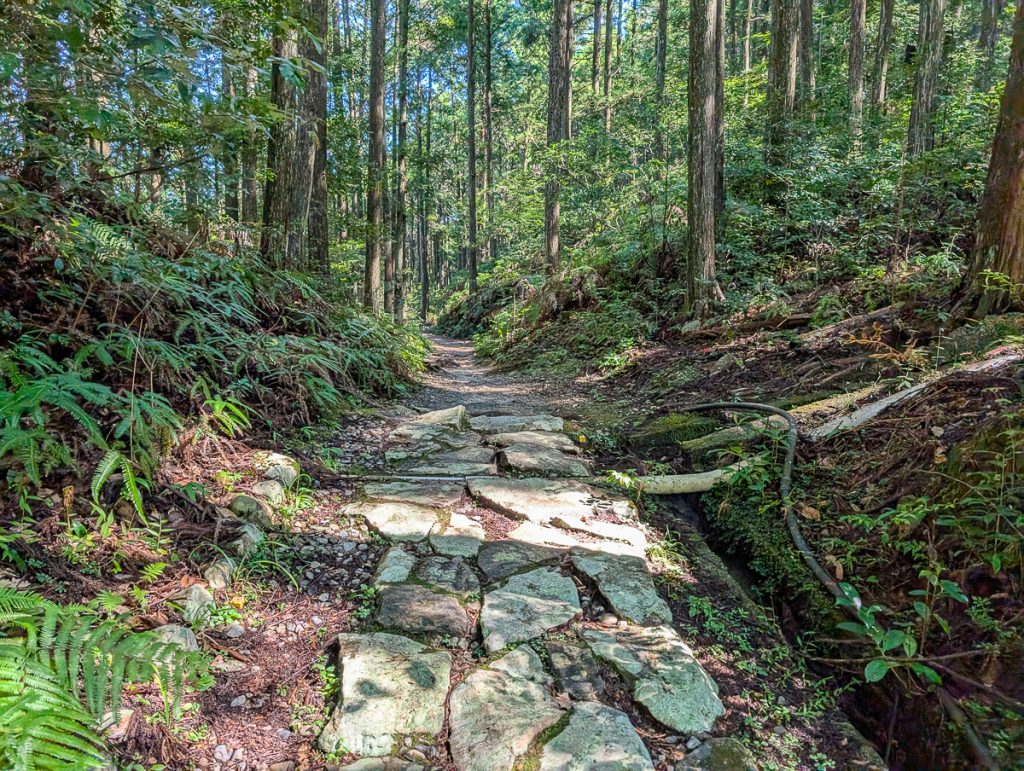 A cobblestone path in the forest along the Kumano Kodo in Japan