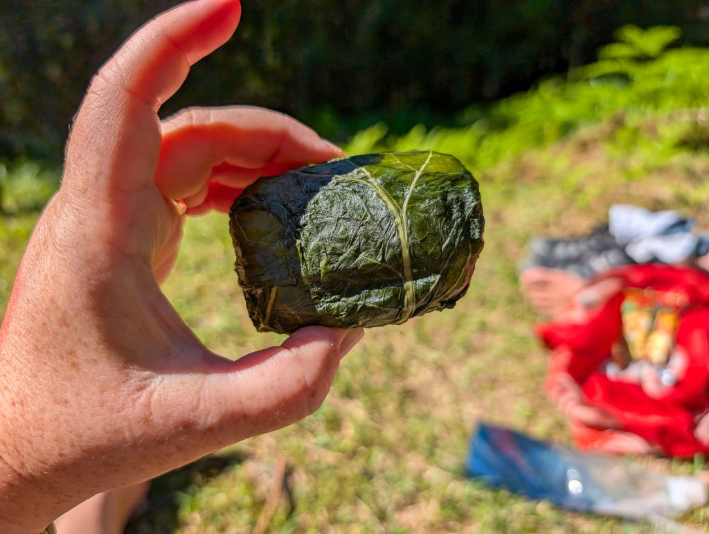 Rice wrapped in a grape leaf - food on the Kumano Kodo