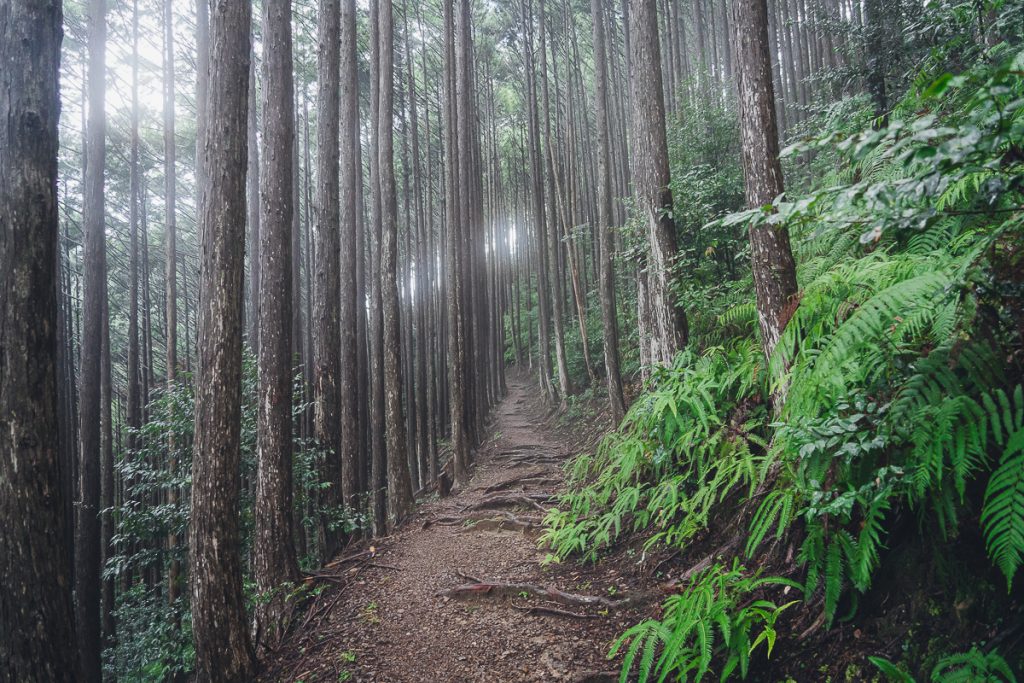 Weather on the Kumano Kodo