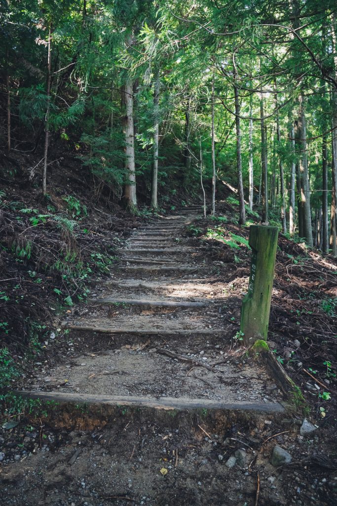 dirty steps leading into a forest