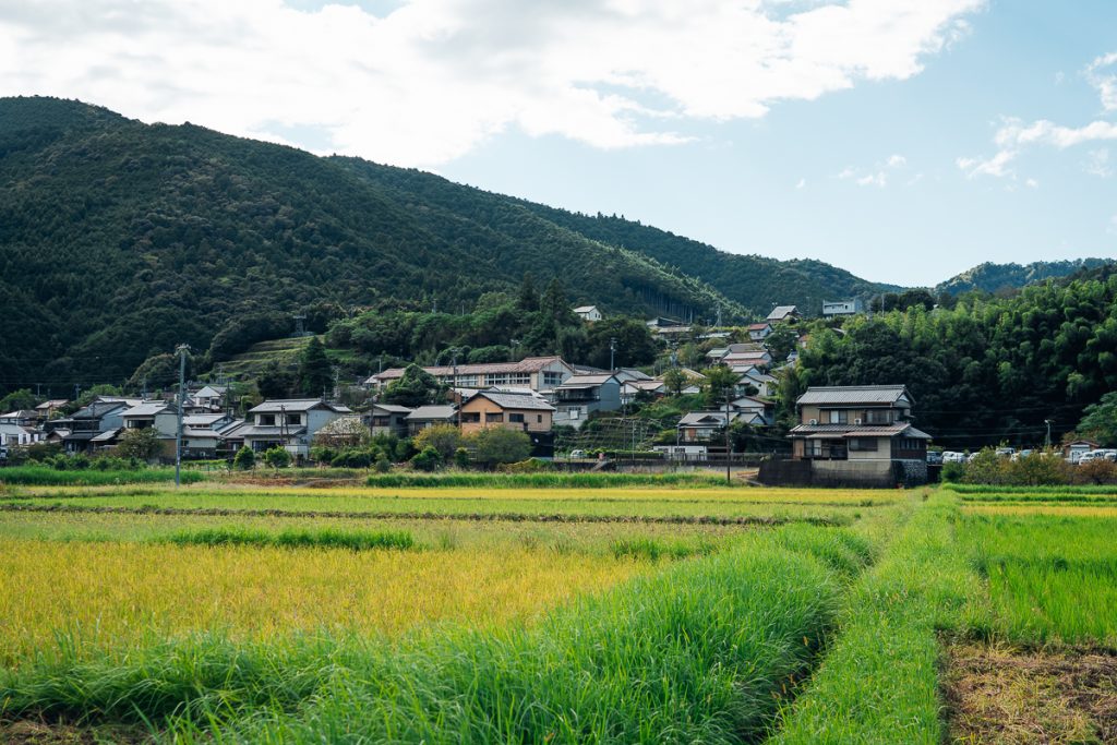 a small village with rice fields on the Kumano Kodo
