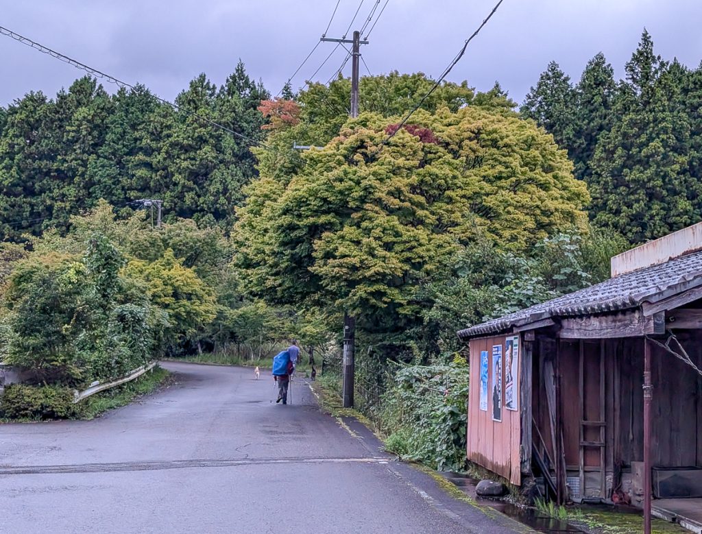 a man walking off into the distance hiking the Kumano Kodo