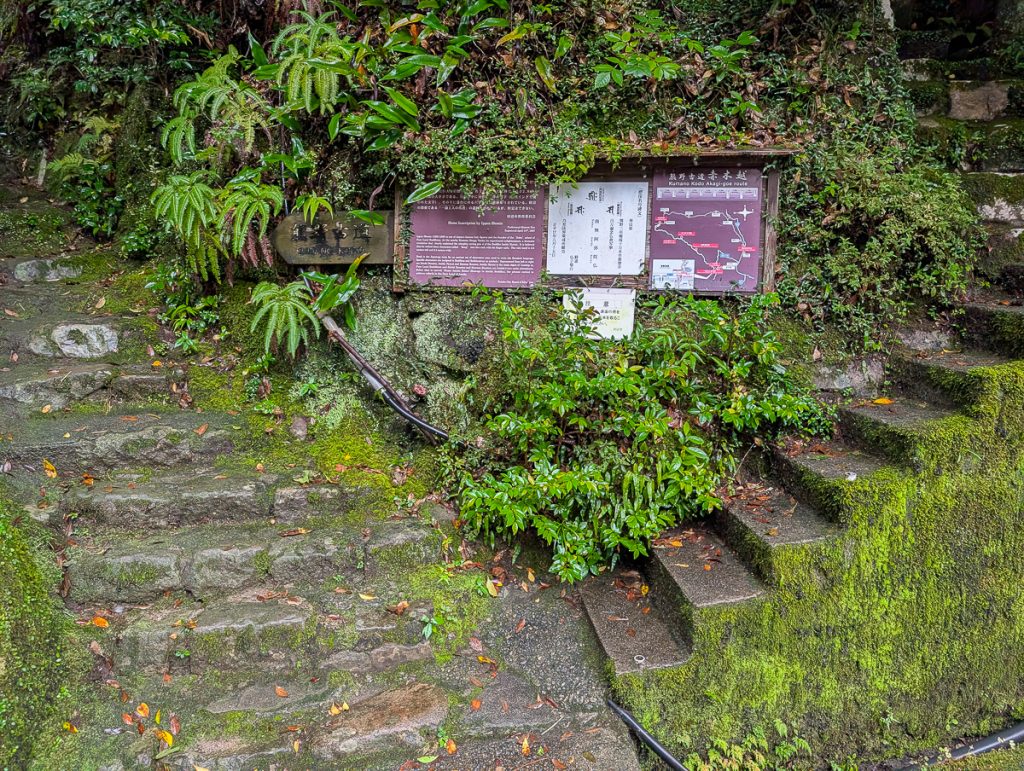 the stone stairs heading up to the Kumano Kodo
