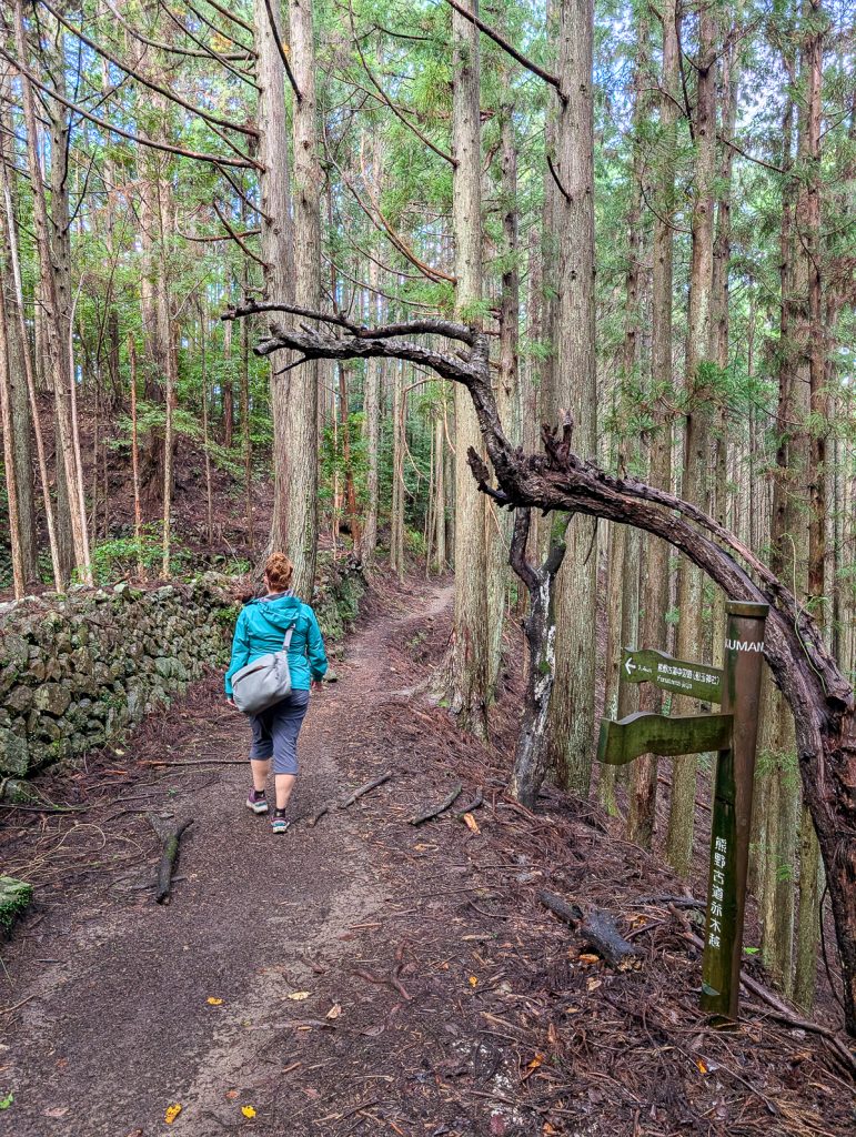 Sooz walking on a forest trail on the Akagi-goe sub route of the Kumano Kodo