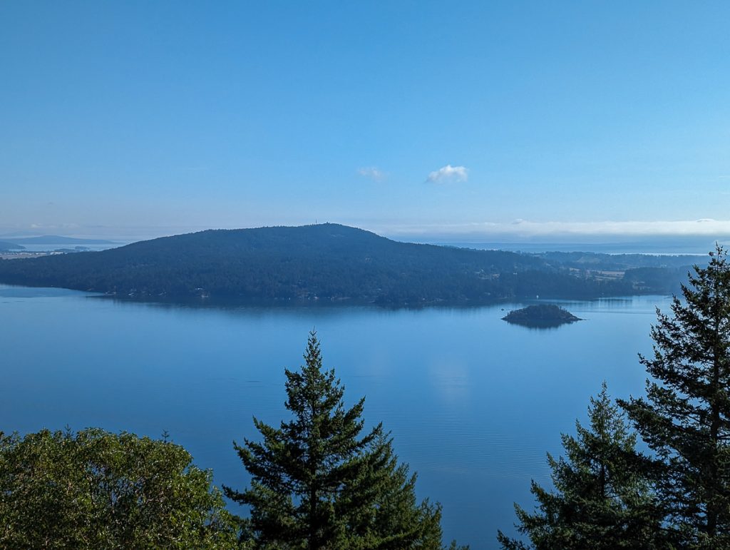 An elevated view over the tops of some pine trees to a bay with wooded land on the other side and clear blue sky above.
