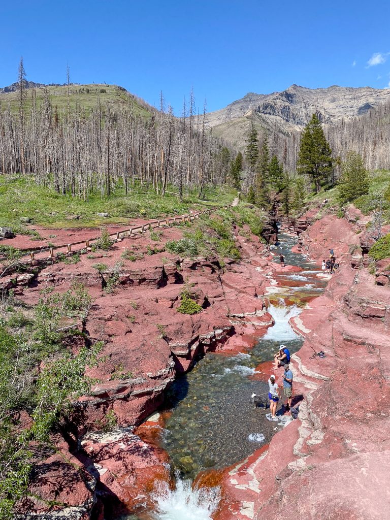 A photo of red rocks on either side of a small river with green trees and a blue sky in the background.