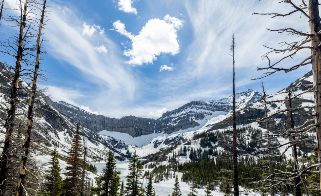 A mountainous landscape covered in snow with pine trees in the foreground and blue sky with fluffy white clouds behind.