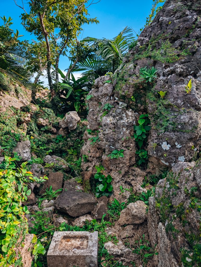 A ruined rock wall overgrown with plants and a small square stone at the bottom with coins in it.