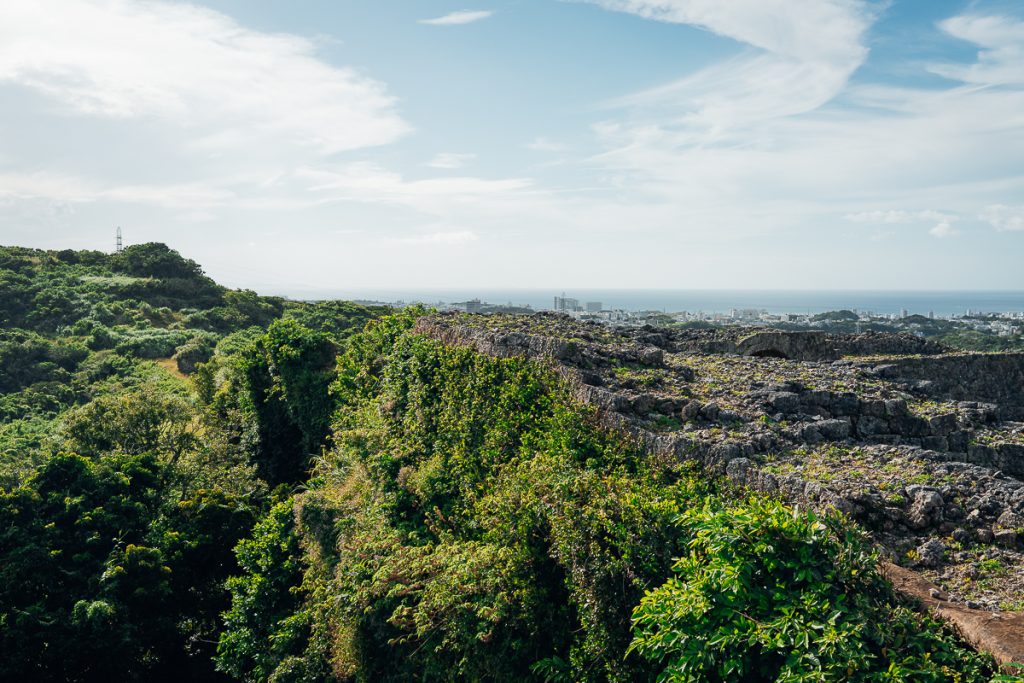 The crumbling remains of a stone structure, covered in greenery with more plants and a city in the background.
