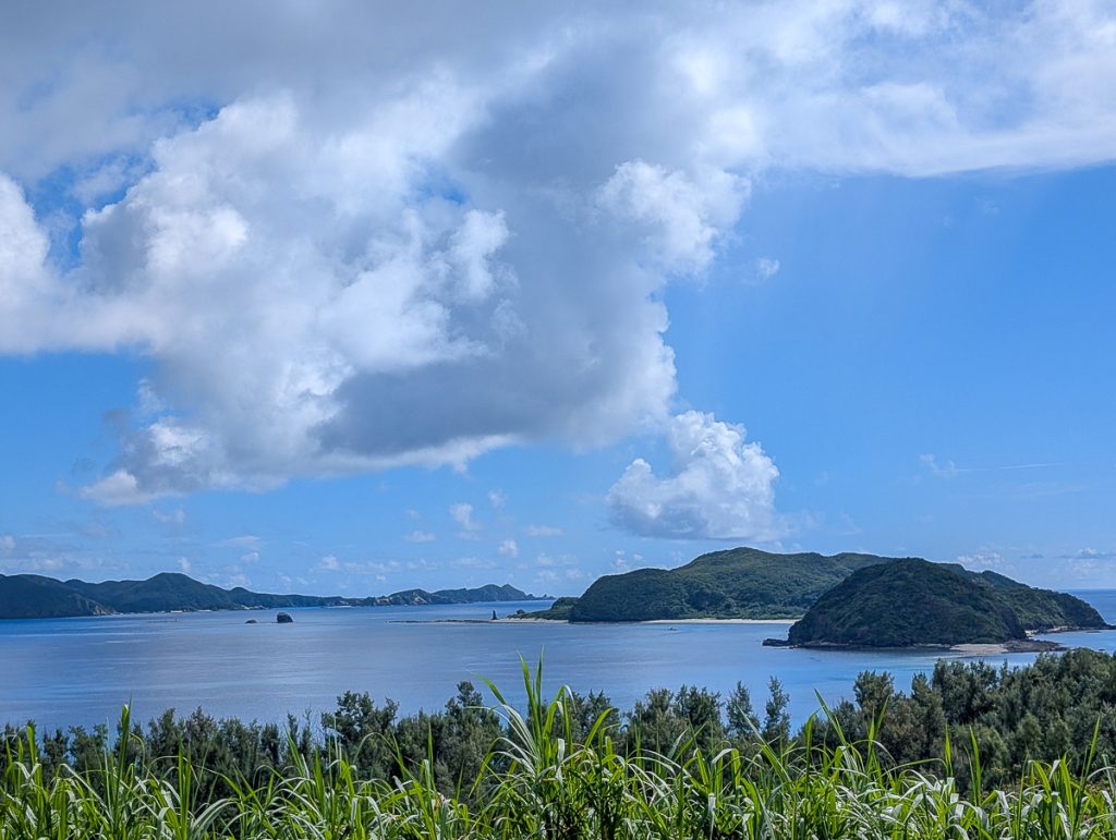 A view from on top of a grassy hill looking out over forested islands under a blue sky with fluffy white clouds.