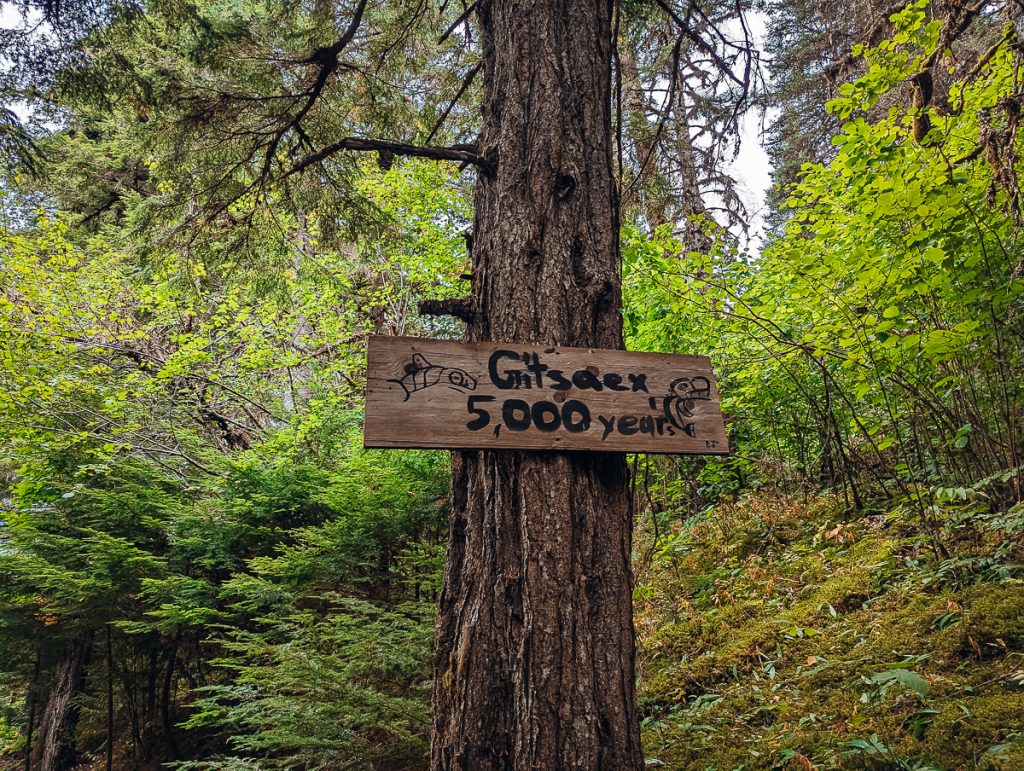 A wooden sign on a tree trunk with two drawings of fish and text that reads "Gitsaex 5,000 years."