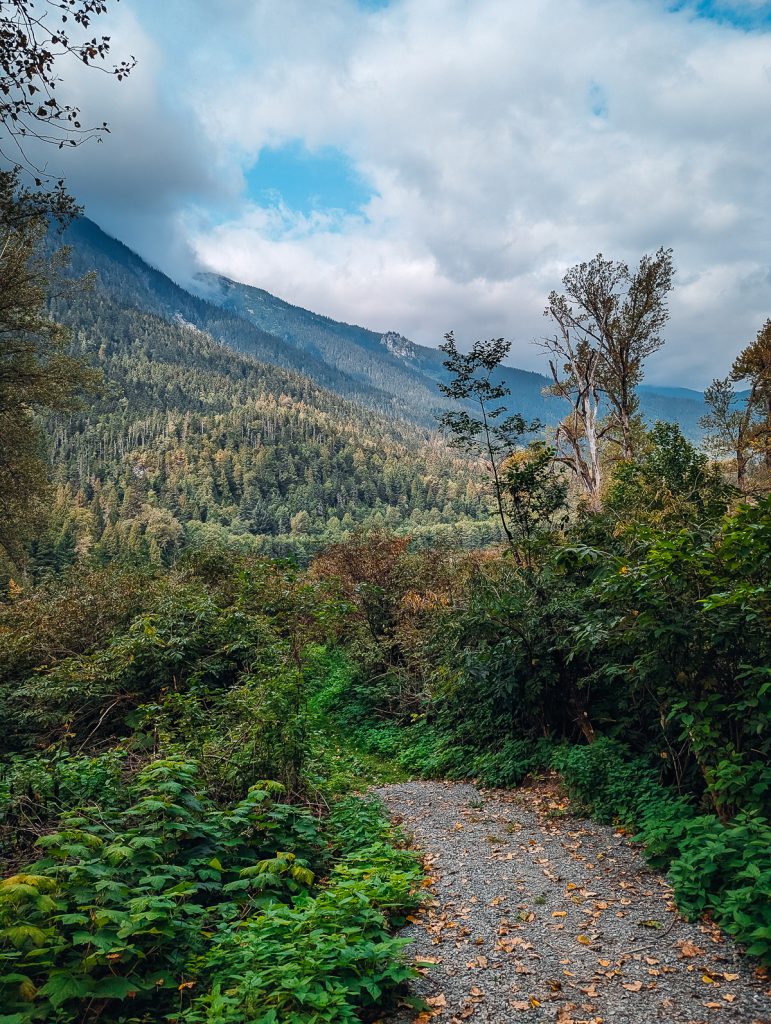 A gravel path leading through bushes with a pine-covered hill and cloudy skies in the background.