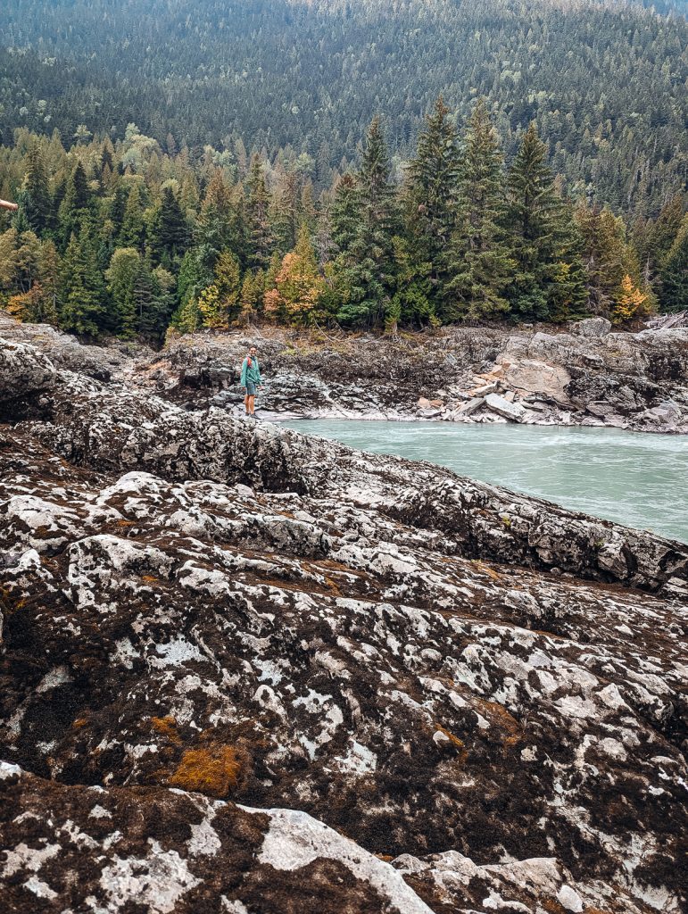 Rocks covered in lichen in the foreground with a man looking tiny next to a river in the background, with pine trees behind.