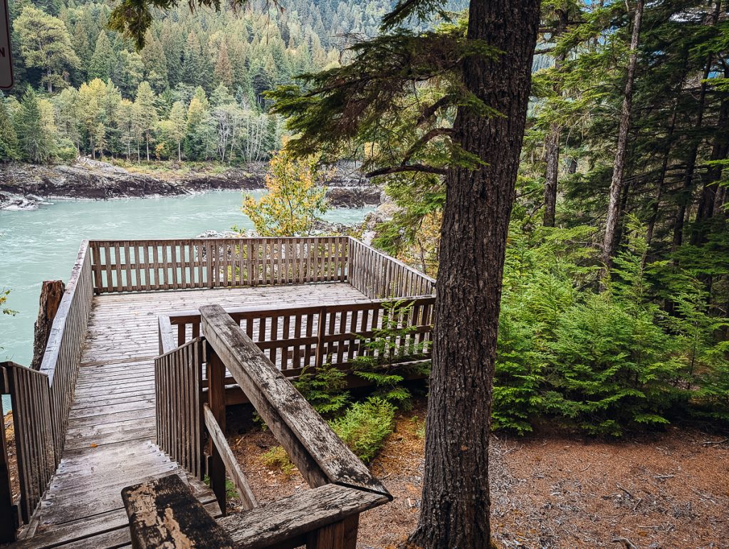 A fenced wooden viewing platform next to a river, with pine trees all around.