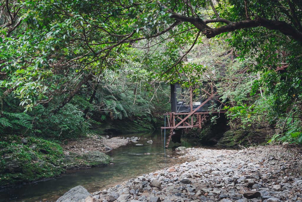 A river surrounded by lush forest in Okinawa