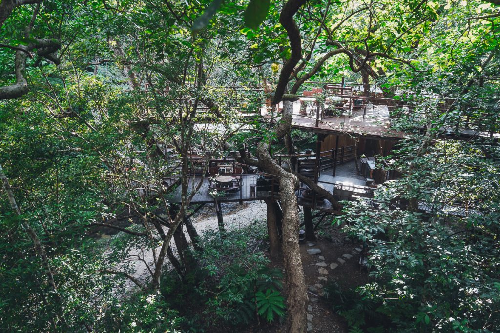 Patio treehouse among the trees