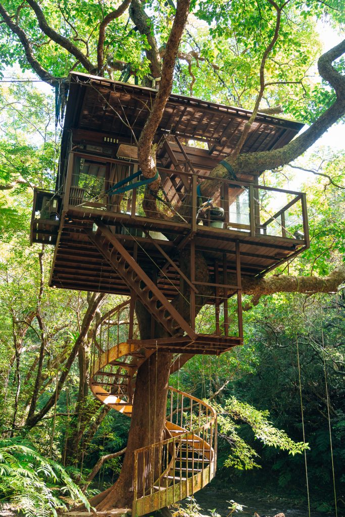 Spiral staircase treehouse in Okinawa
