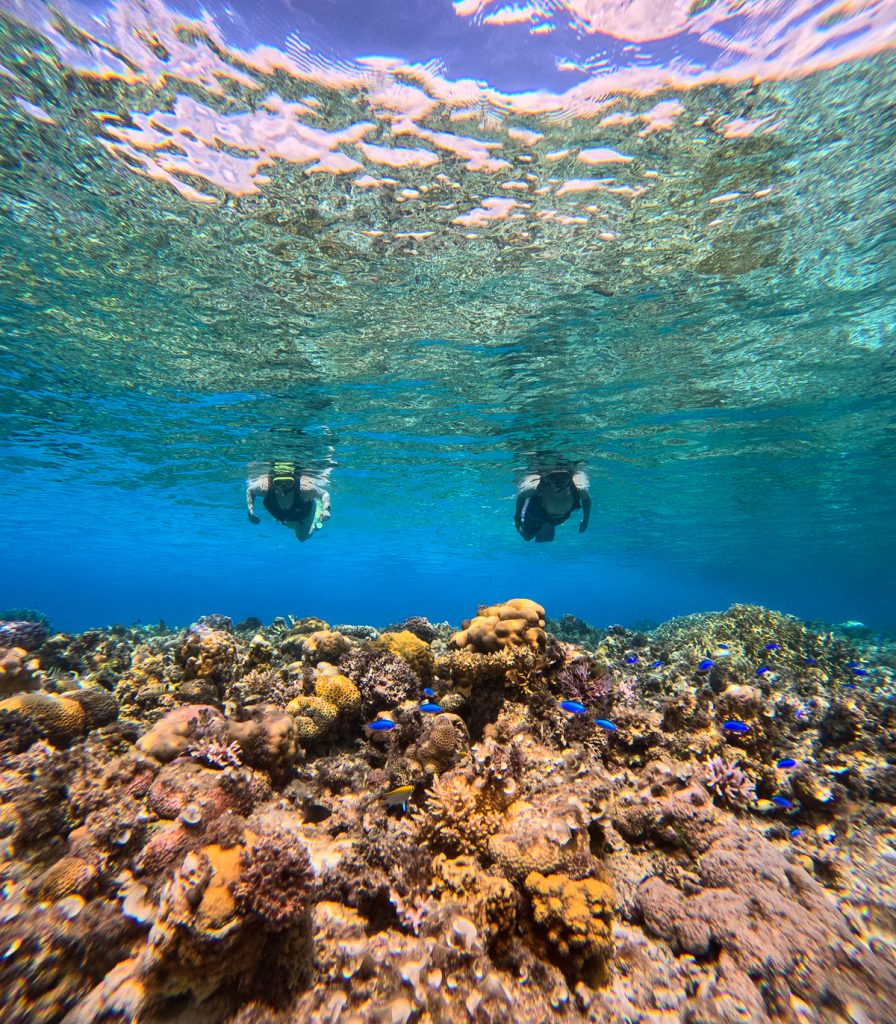 Susanna and Ganesh snorkeling with colorful fish in a reef in Okinawa
