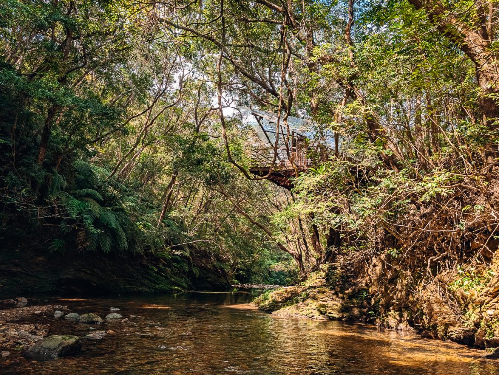 A treehouse suspended over a river in the forest of Okinawa