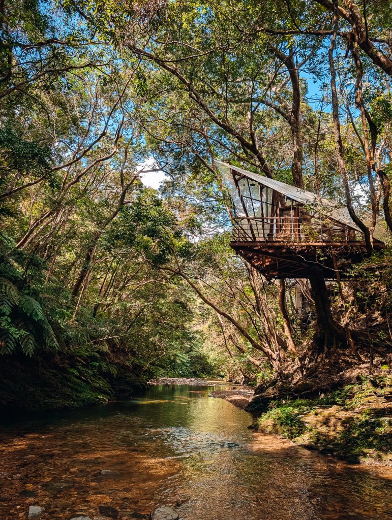 A treehouse suspended over a river with a clear roof. Treeful treehouse.