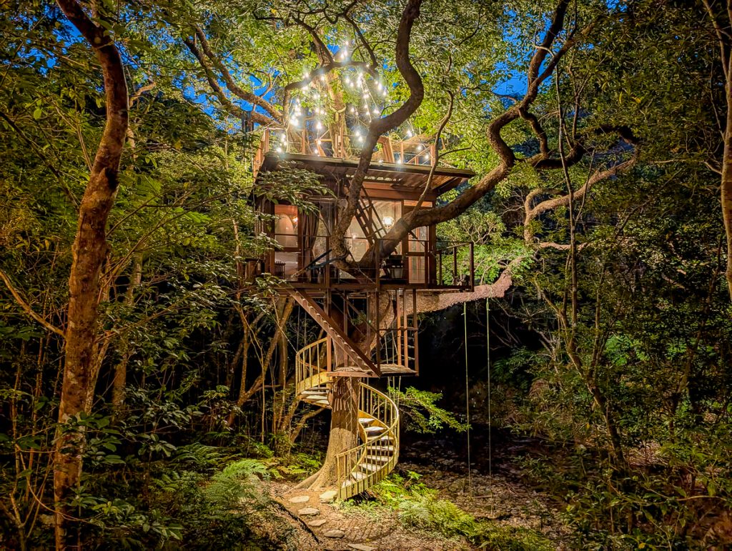 A treehouse suspended in the forest, lit up at night.