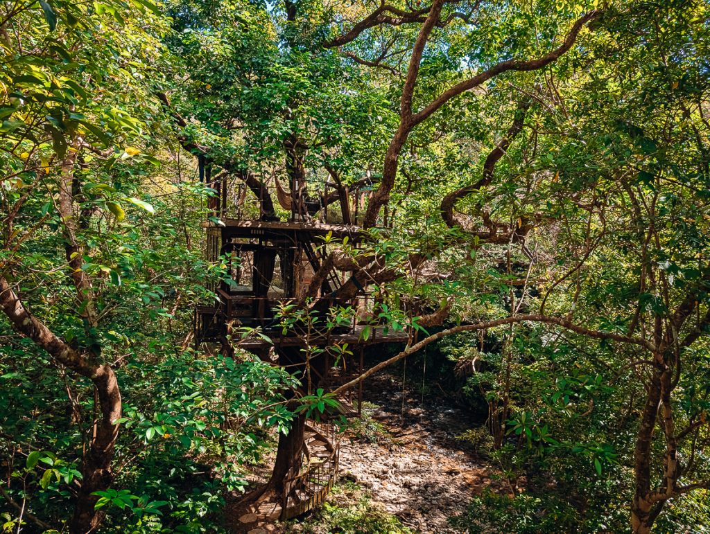 Okinawa Treeful Treehouse