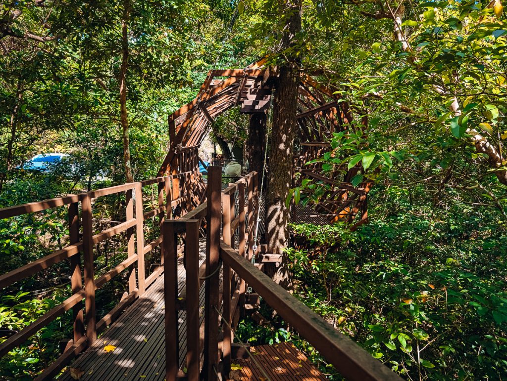 a treehouse in the rainforest