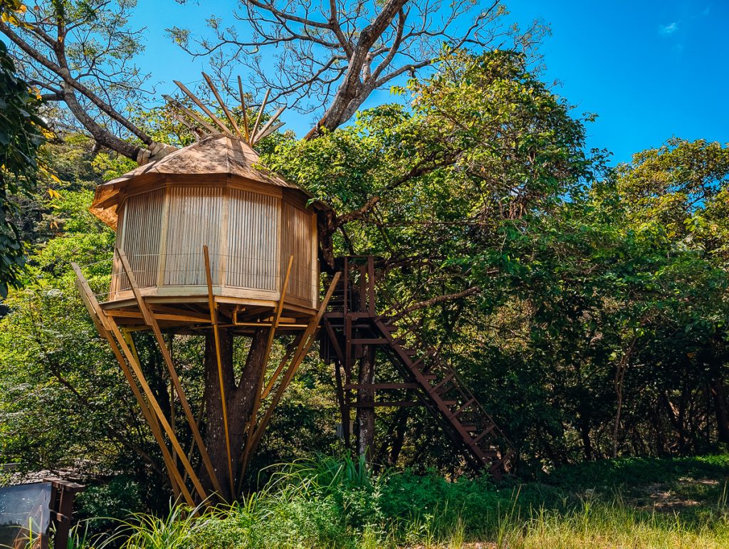 Trophy treehouse Okinawa