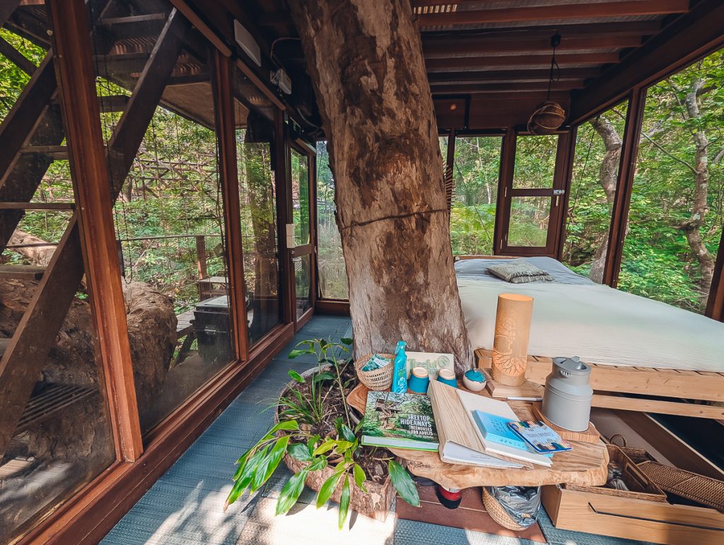 Inside a treehouse with rustic wood furniture