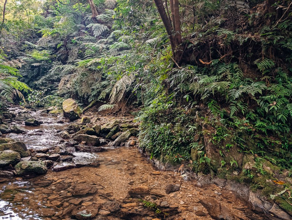 The fresh water in the Okinawa river