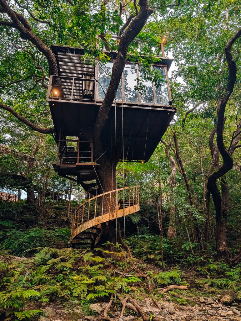 the back of a wooden spiral treehouse in the forest