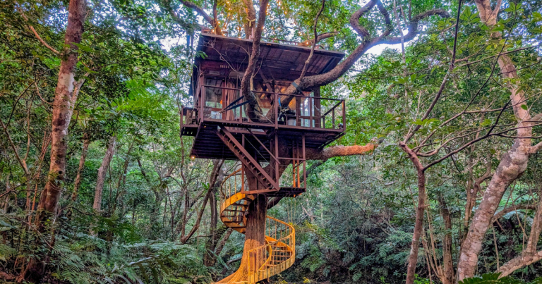 Treeful Treehouse Sustainable Resort in Okinawa, Japan. The best place to stay.