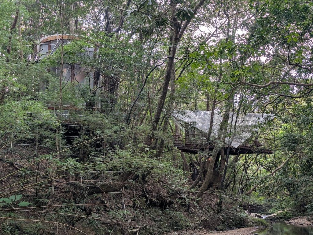 Treeful Treehouse treehouses in the forest