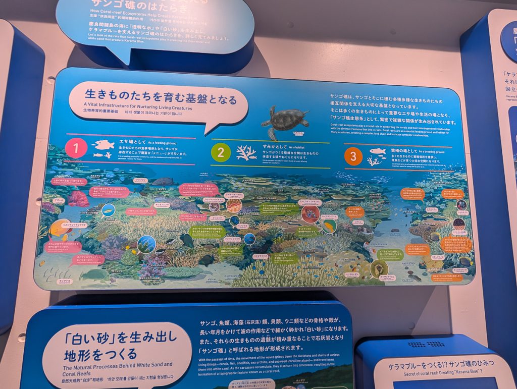 Colorful information boards with text in English and Japanese in a visitor center on the Kerama Islands.