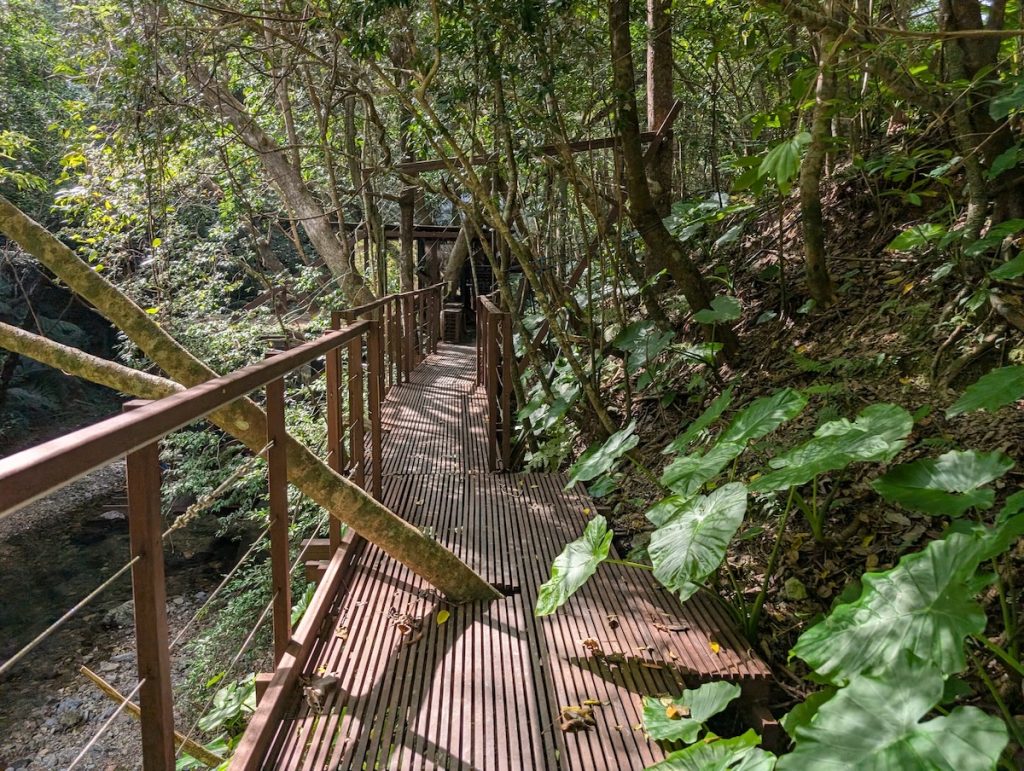 Treeful Treehouse desk has slats to allow sunlight in