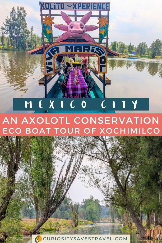 A colorful flat bottomed boat with a pink axolotl head on it above a photo of green trees on either side of a canal, with a text box in between that says Mexico City" and "An axolotl conservation eco boat tour of Xochimilco."