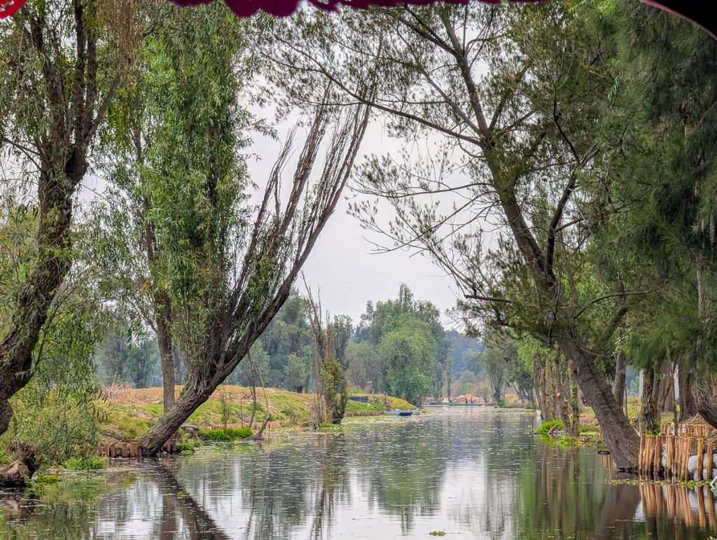 A peaceful canal in Xochimilco with tall trees on either side of the water.