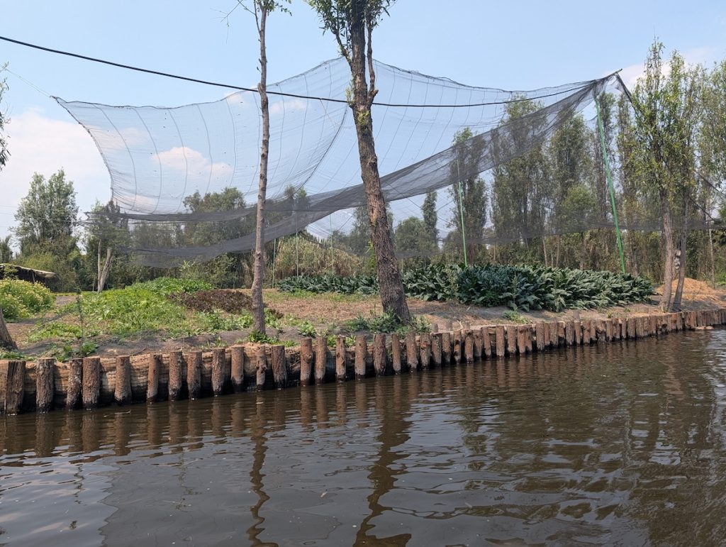 Vegetables growing next to water with a mesh cover over the top.