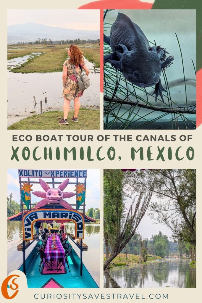 Four portrait photos in a grid of a woman standing on grass next to wetlands, a black axolotl underwater, a colorful boat with a pink axolotl head on it and a calm canal with trees on either side. In between, text reads "Eco boat tour of the canals of Xochimilco, Mexico."
