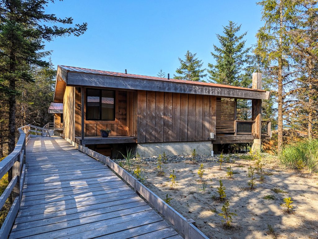 A wooden walkway with a railing on one side leading to a small wooden cabin with small plants to the side and pine trees behind with blue sky above.