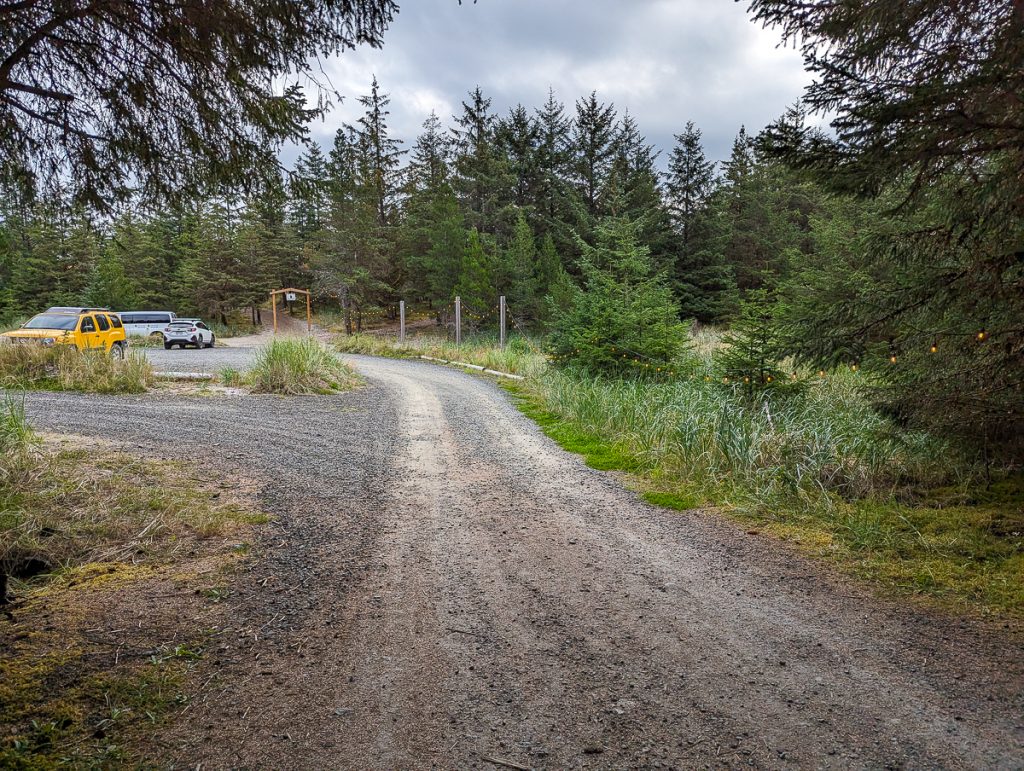 A dirt and gravel road leading to a spot where cars are parked next to grass and pine trees, with some hanging lights and a wooden sign in the background.