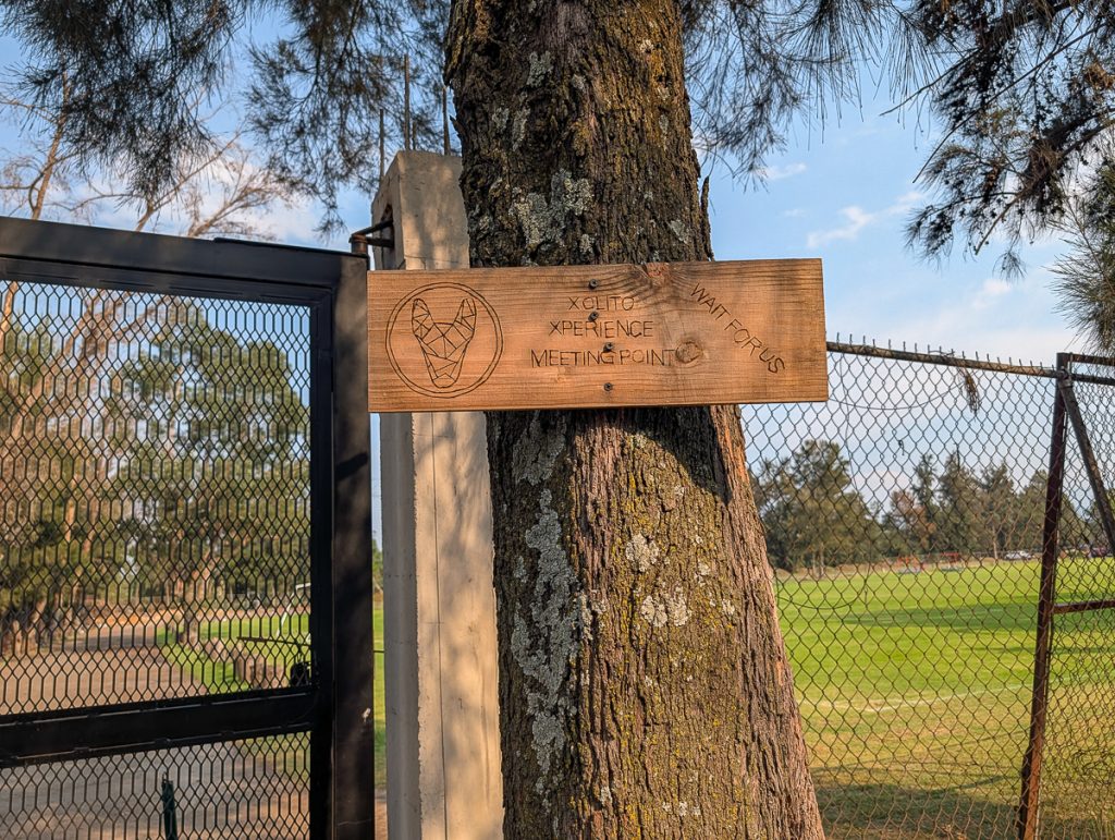 A wooden sign on a tree trunk next to a fence that says "Xolito Xperience Meeting Point Wait for Us."