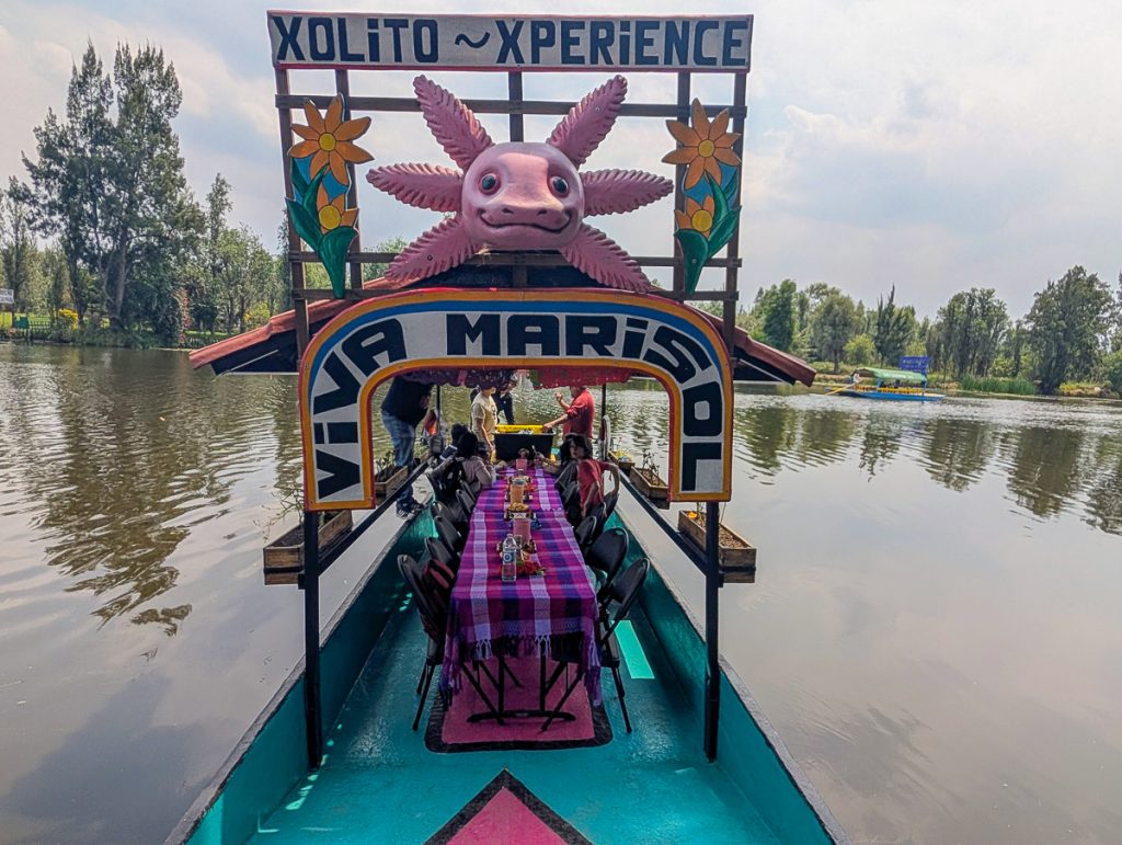 A colorful traditional boat in Xochimilco with a pink axolotl head and signs that read "Xolito Xperience Viva Marisol."
