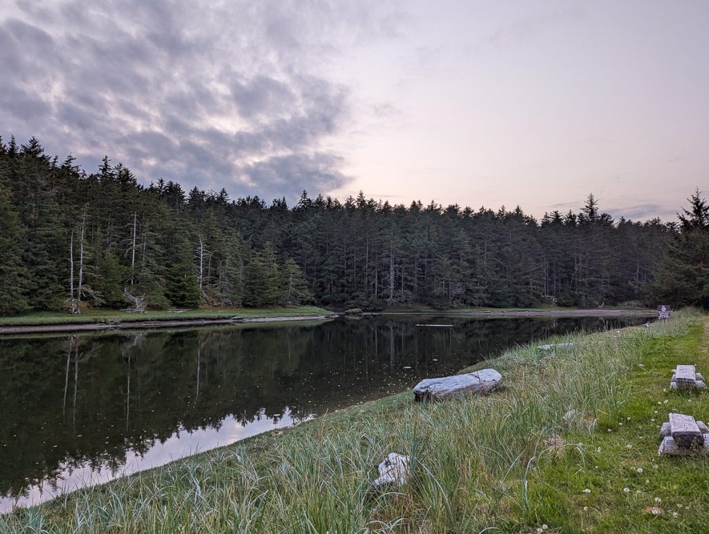 A calm river with small wooden seats on the grass closest to the camera, and pine trees lining the other shore with fluffy clouds above.