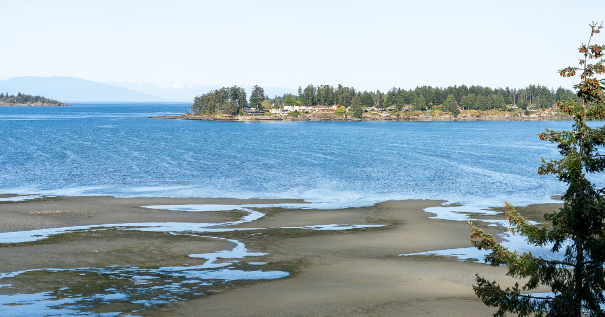 A landscape photo from a lookout overlooking a beach or river at low tie with houses on a promontory in the background.