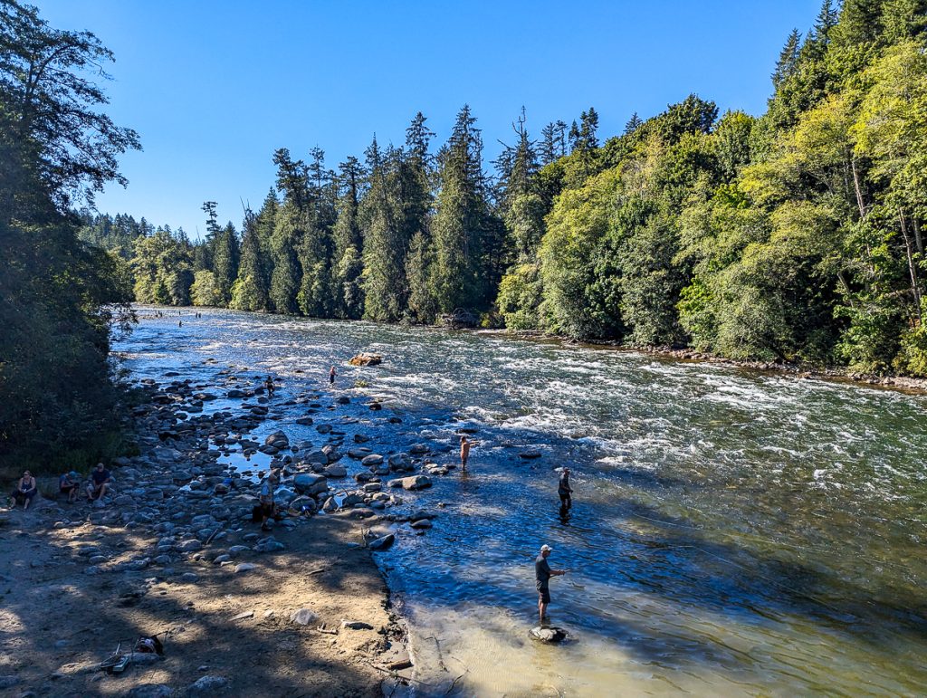 A wide river with rapids next to towering pine trees and lots of people standing in the river fishing on a glorious sunny day.