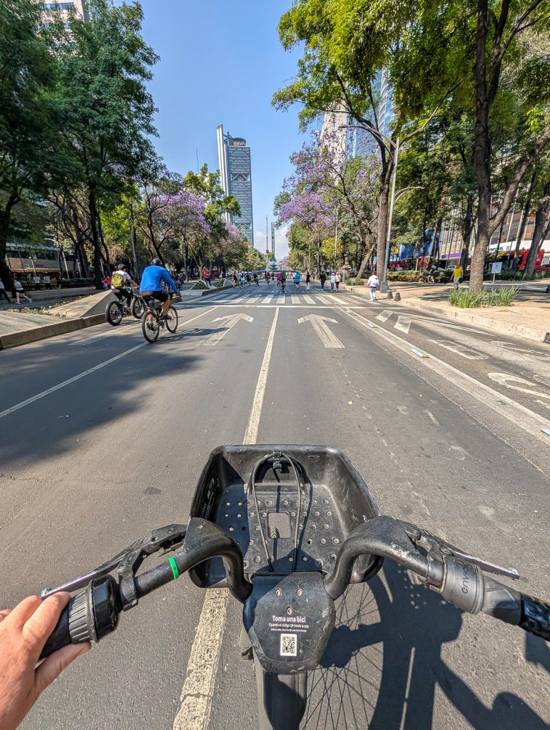 an image of bike handlebars and the open road ahead